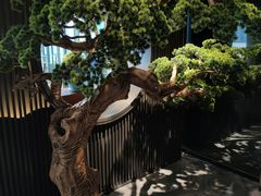 -御膳·现代粤菜·高空城景宴会厅·谢师宴(罗湖万象城店)