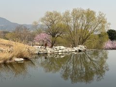 -北京西山国家森林公园