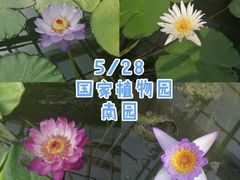 -国家植物园南园