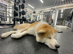 -YCHL Studios健身工作室(市二宫店)