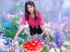 -洛阳白云山景区