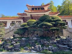 -深圳仙湖植物园