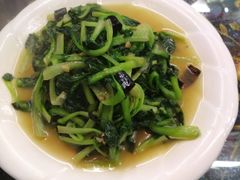 -泸沽肴(泸沽湖大洛水村农村信用社旁店)