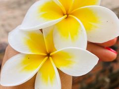 -一寨两国风景区