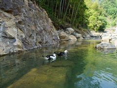 -宁波五龙潭景区