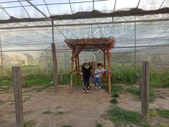 -前小桔亲子创意农场·草莓采摘·露营烧烤