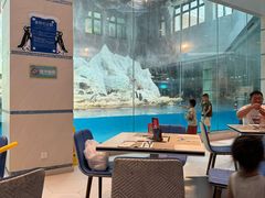 -帝企鹅自助餐厅•儿童岛•真企鹅(长隆企鹅酒店)