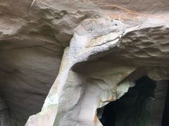 -蛇蟠岛