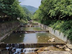 -广州白江湖森林公园