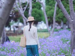 -白塘生态植物园