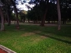 -万绿园