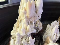 -游龙石文化科普馆