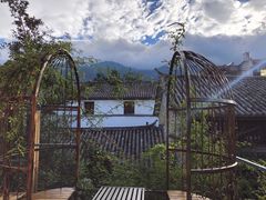 -喵屿·大理花园猫咖