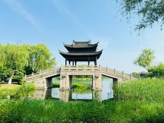 -尚湖风景区