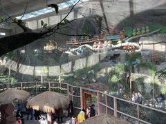 -南宫五洲植物乐园