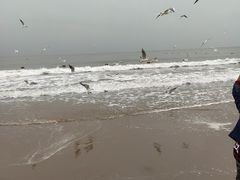 -北戴河东海水浴场