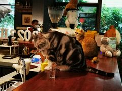 -咖法森林·咖啡  酒吧(天河店)