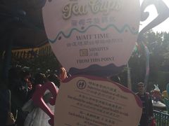 -疯帽子旋转杯
