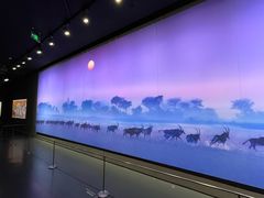 -罗红摄影艺术馆