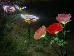 -莲花池公园