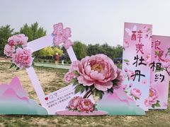 -太阳宫公园