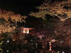 -醍醐寺