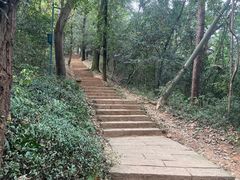 -九曜山