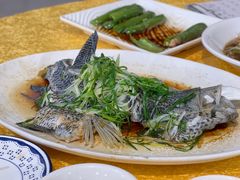 蒸鱼-烧鹅妹饭店
