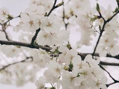-中兴路(地铁站)