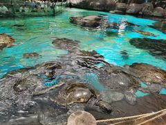-海合安成都极地海洋公园
