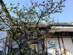 -太平天国历史博物馆(瞻园)