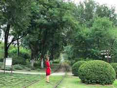 -永定河休闲森林公园