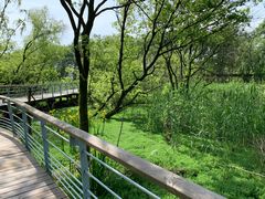 -西湖风景区-江洋畈生态公园