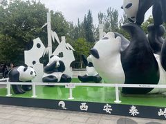 -西安秦岭野生动物园
