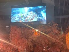 -雲蜀龙阁·金牌水煮鱼(方庄店)