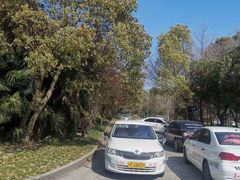 -胜华驾校·小猫学车(银都店)