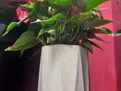 -闫府私房菜·百年鲁菜(恒隆店)