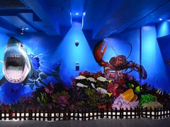 -船奇蒸汽海鲜·闽菜(八市海鲜总店)