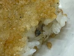 -蒋家桥饺面店(东关街店)