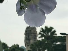 -巴拉湾海滩