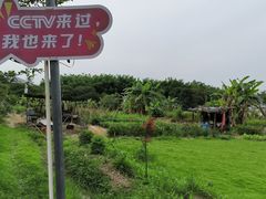 -丰依竹食·老牌竹筒饭