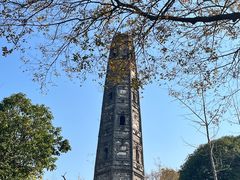 -上海佘山国家森林公园天马山园