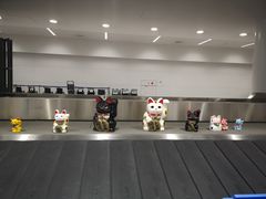 -中部国际机场