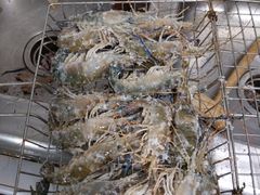 -阿宗面线(西门町店)