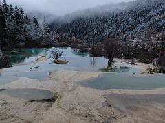 -黄龙山原始森林景区