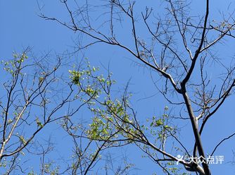 湾谷科技园 国权北路1688弄 虽然位于新江湾城