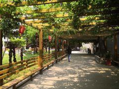 -长安上水缘度假庄园