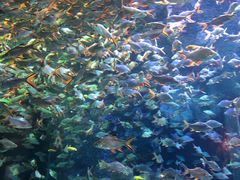 -成都浩海立方海洋公园
