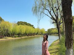 -上海鲜花港