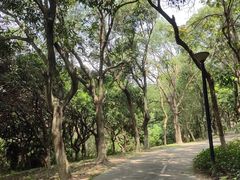 -燕晗山郊野公园